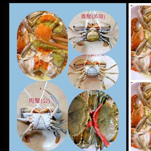 野生海鲜，青蟹一手货源