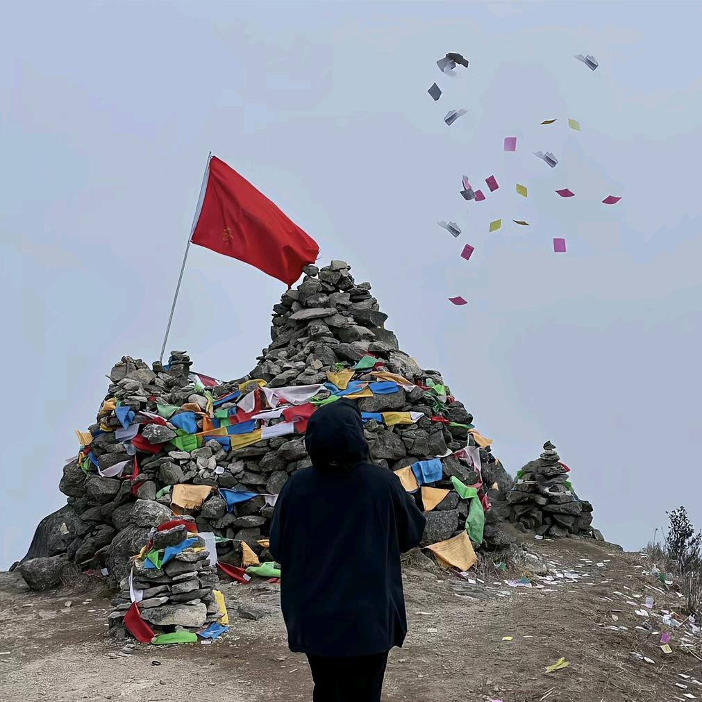 Mis 張🙇‍♂️