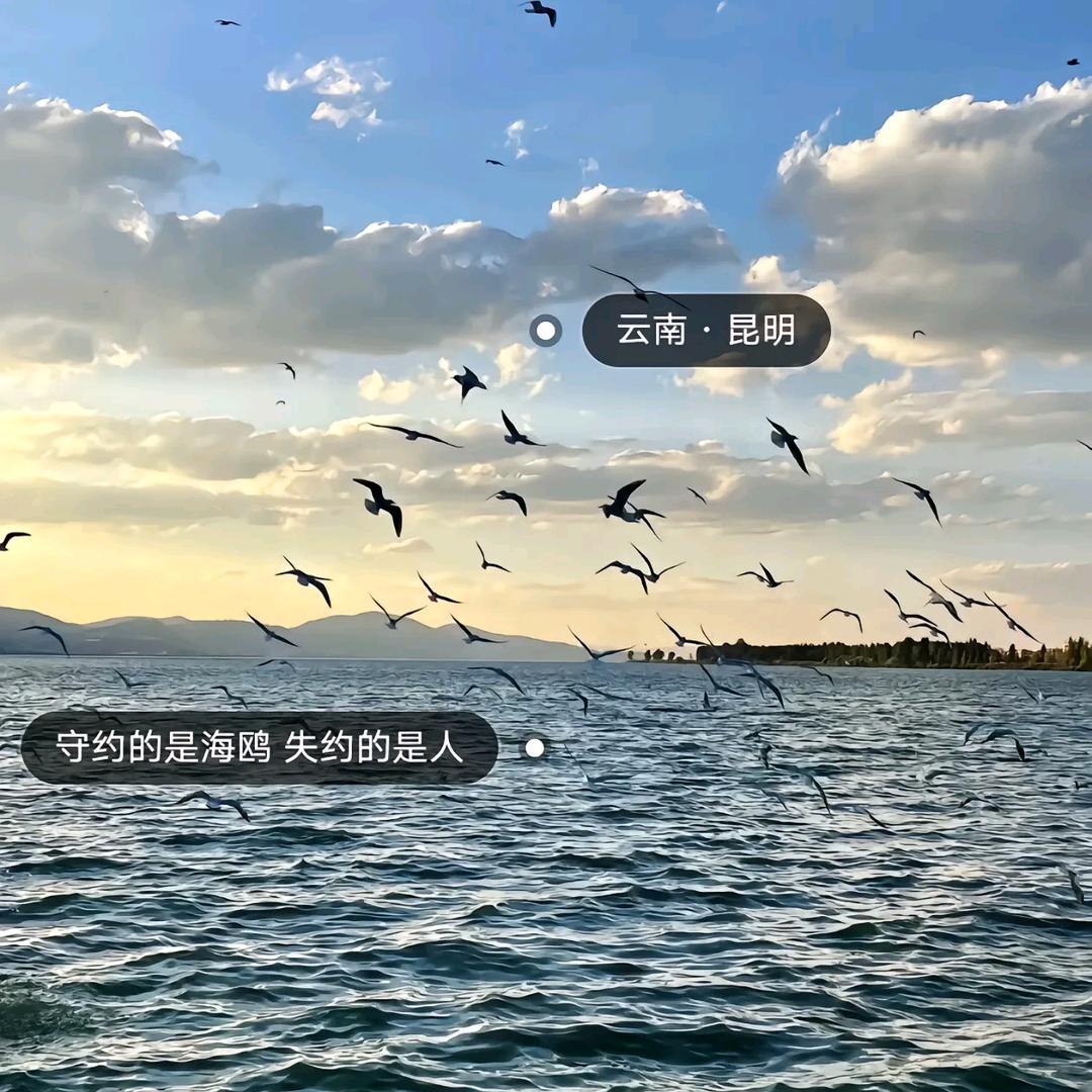 缘为冰