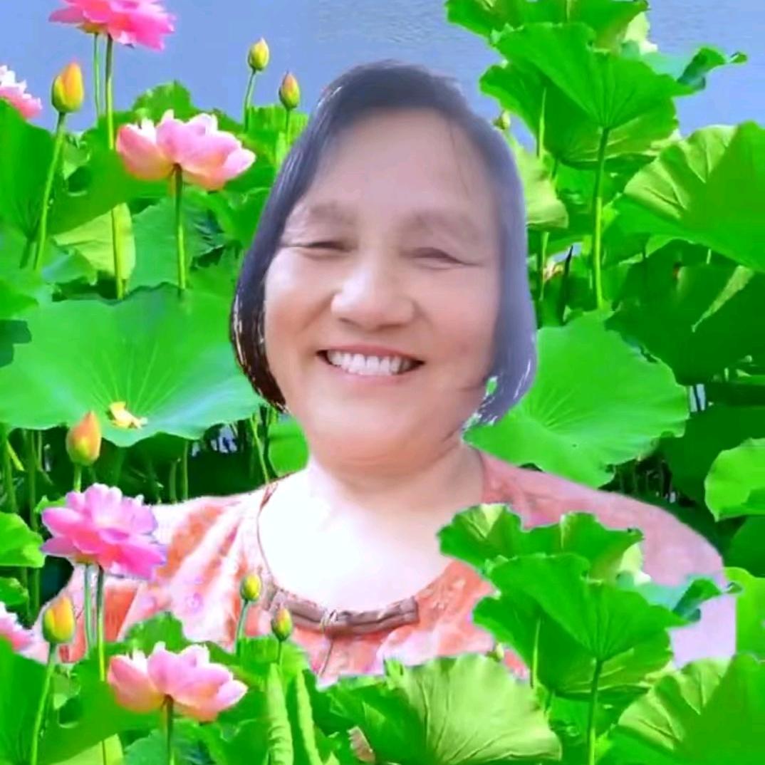 开心英英