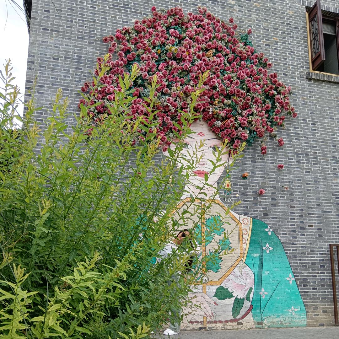 莉群呀