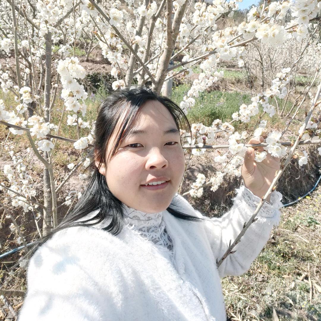 杨三妹