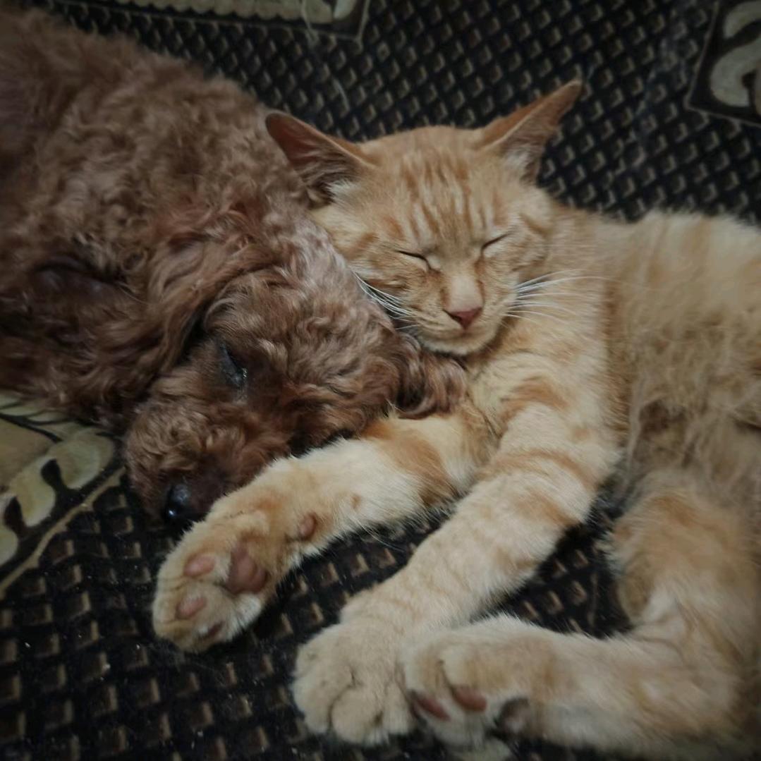 郑在奔跑的蜗牛🐌