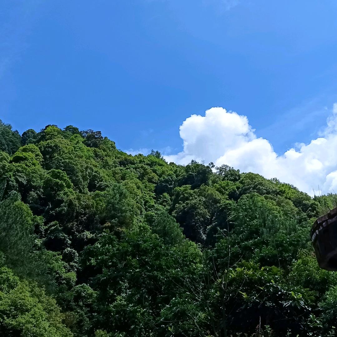 贵州世环酒业