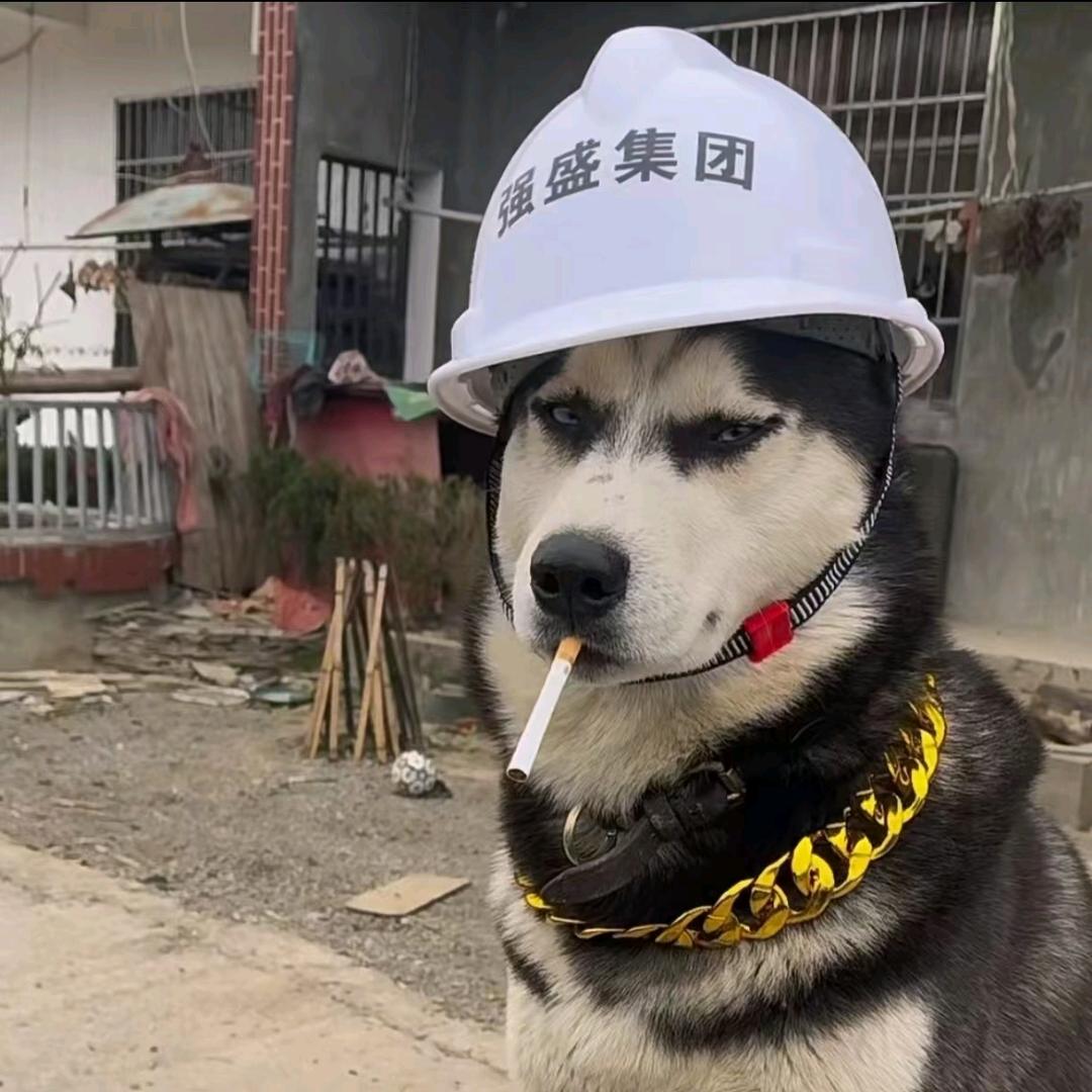 楠楠不困🌴