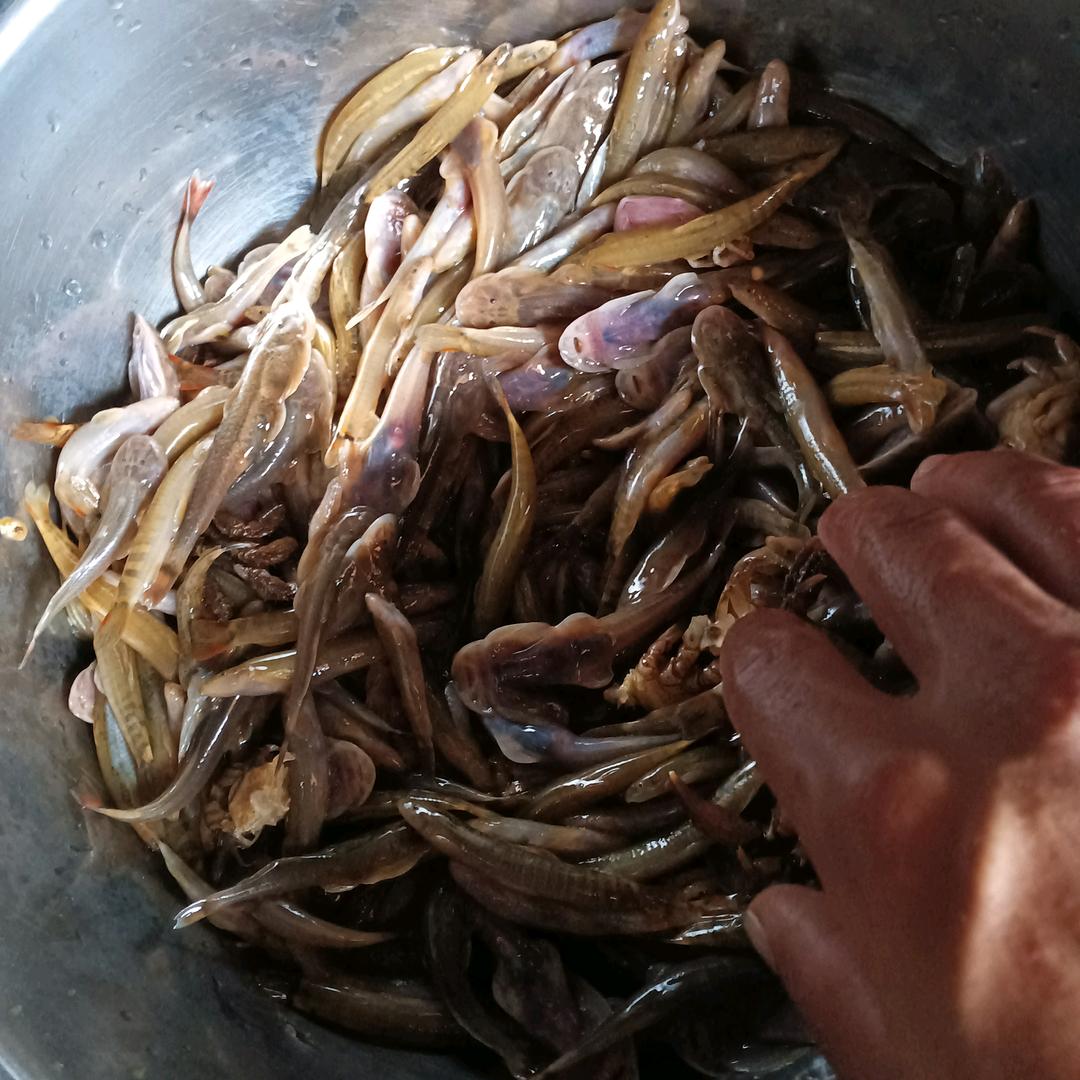 生命比金贵开心每一天