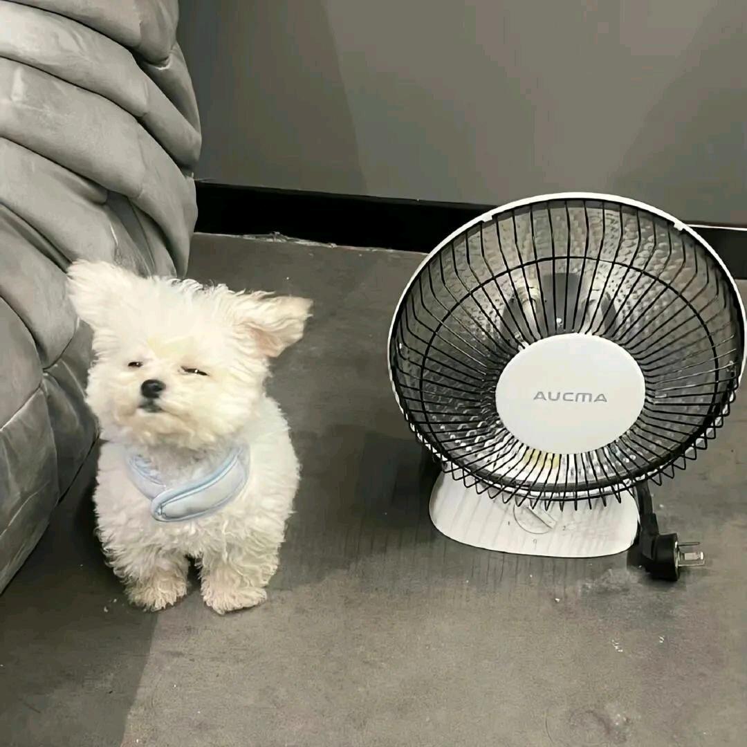 超超灯饰五金用品店