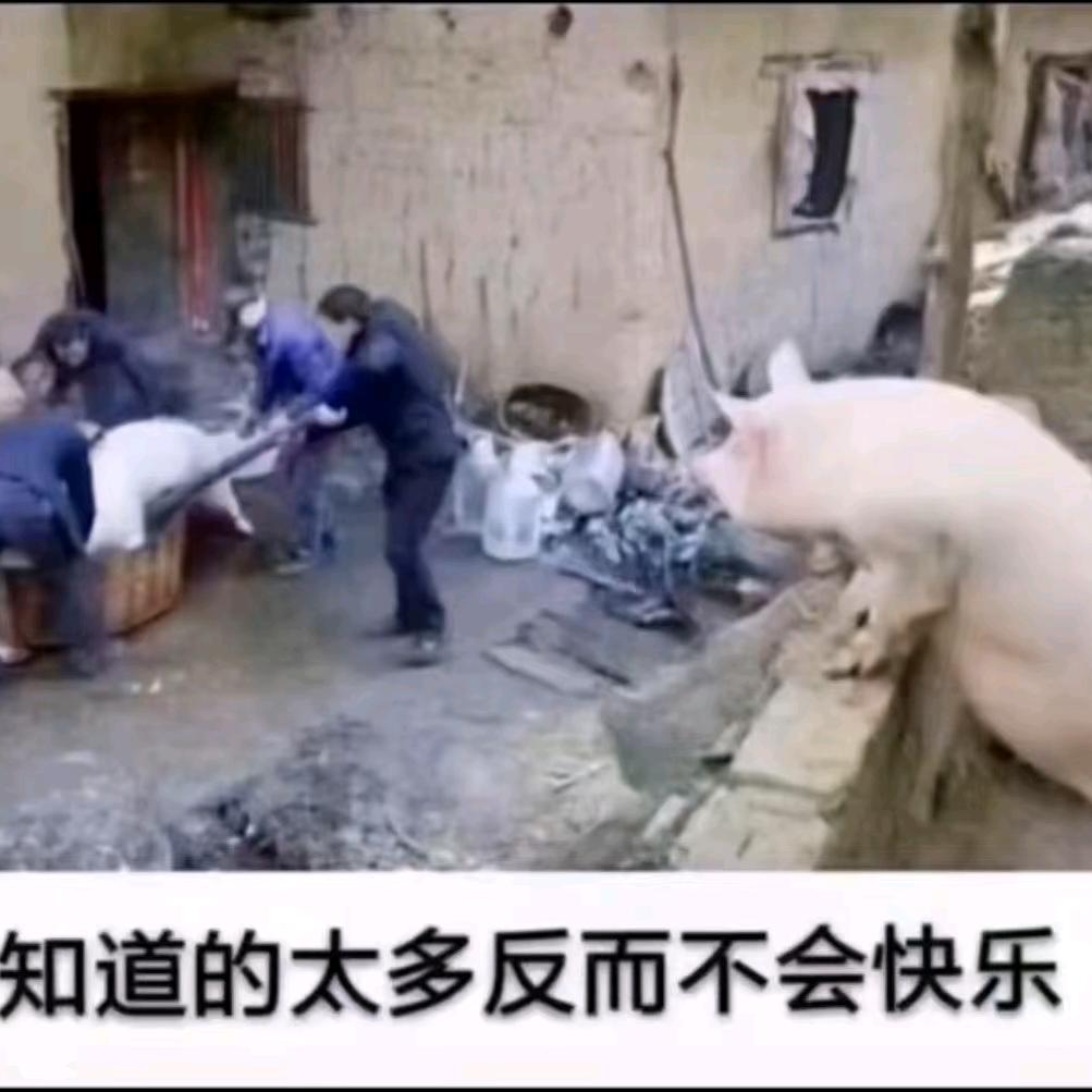 北冥以鱼