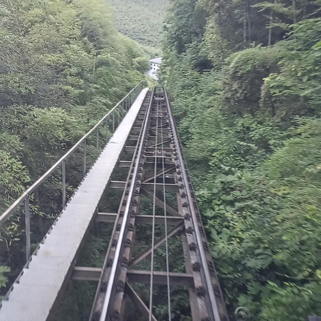 豫东集团，来龙金想驾校。