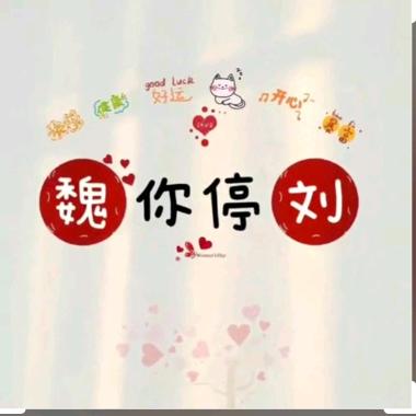 魏你停刘