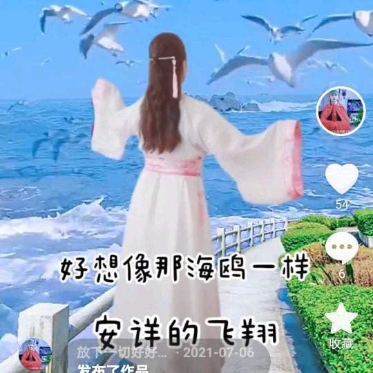 独影随风
