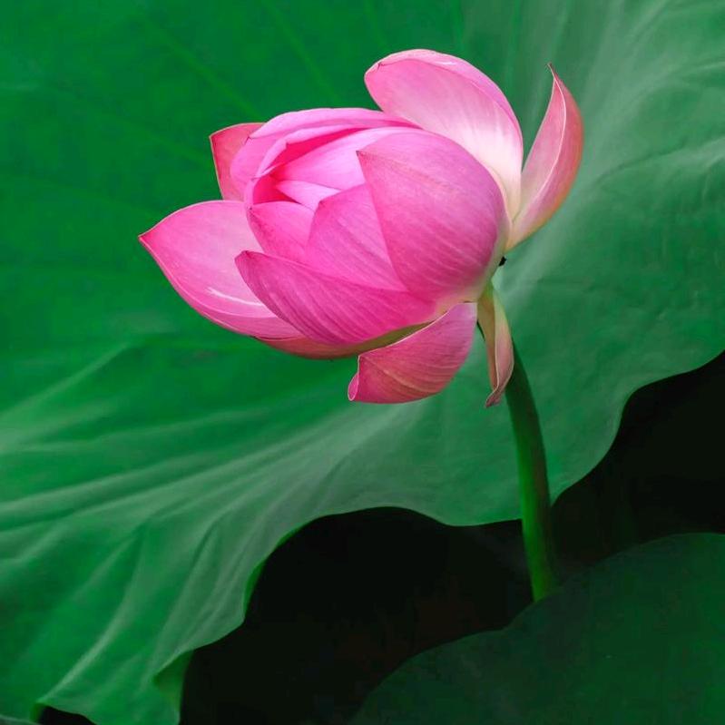 晚霞