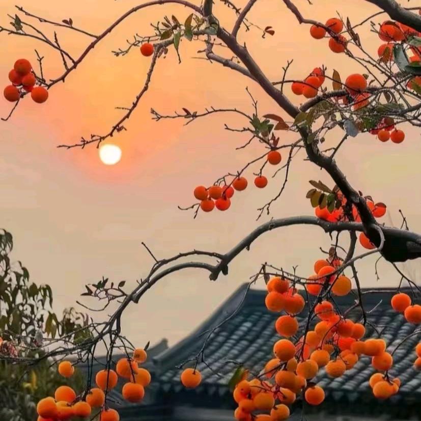 上班哪有不疯的