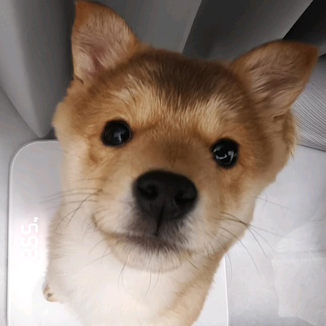 宁古丁