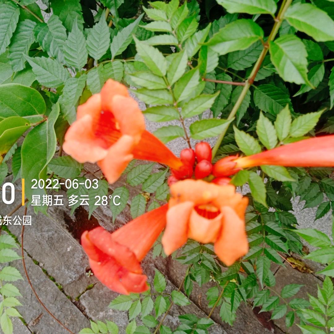 10@～……～@～