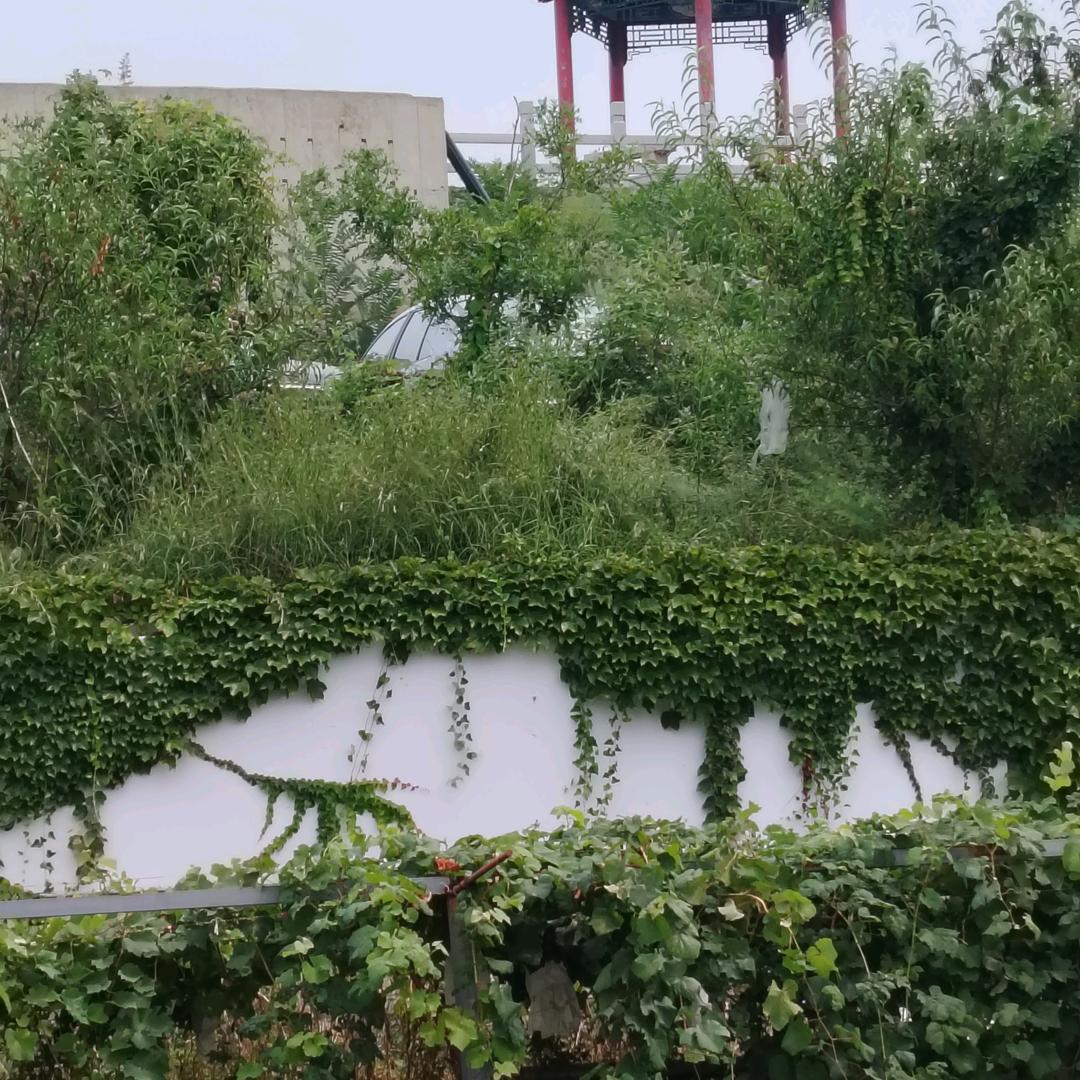 平安快乐