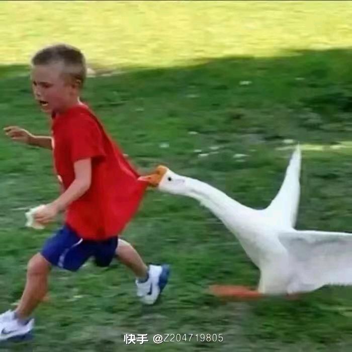 小胖子都是这样