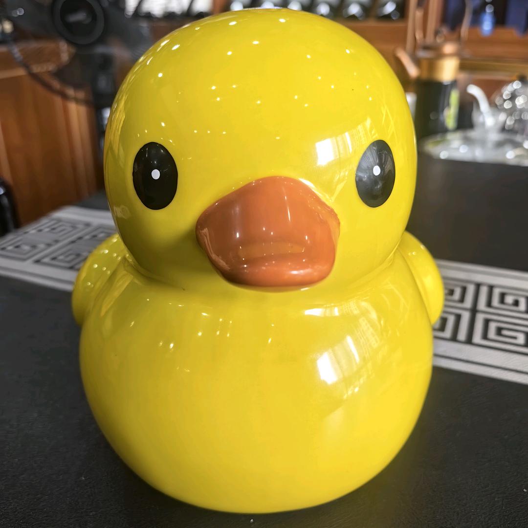 阳光总在风雨后