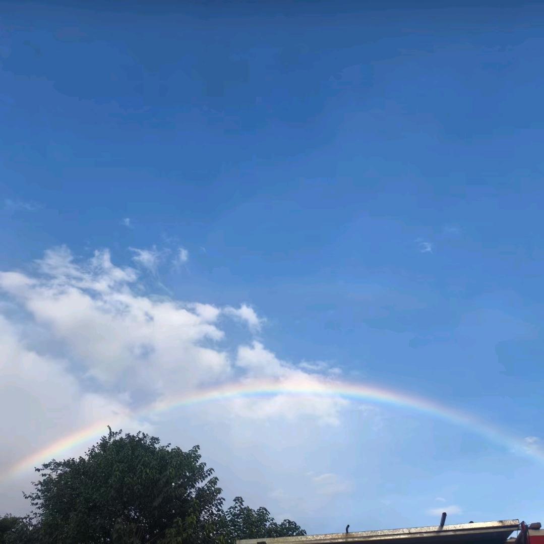 重庆土货偏二哥