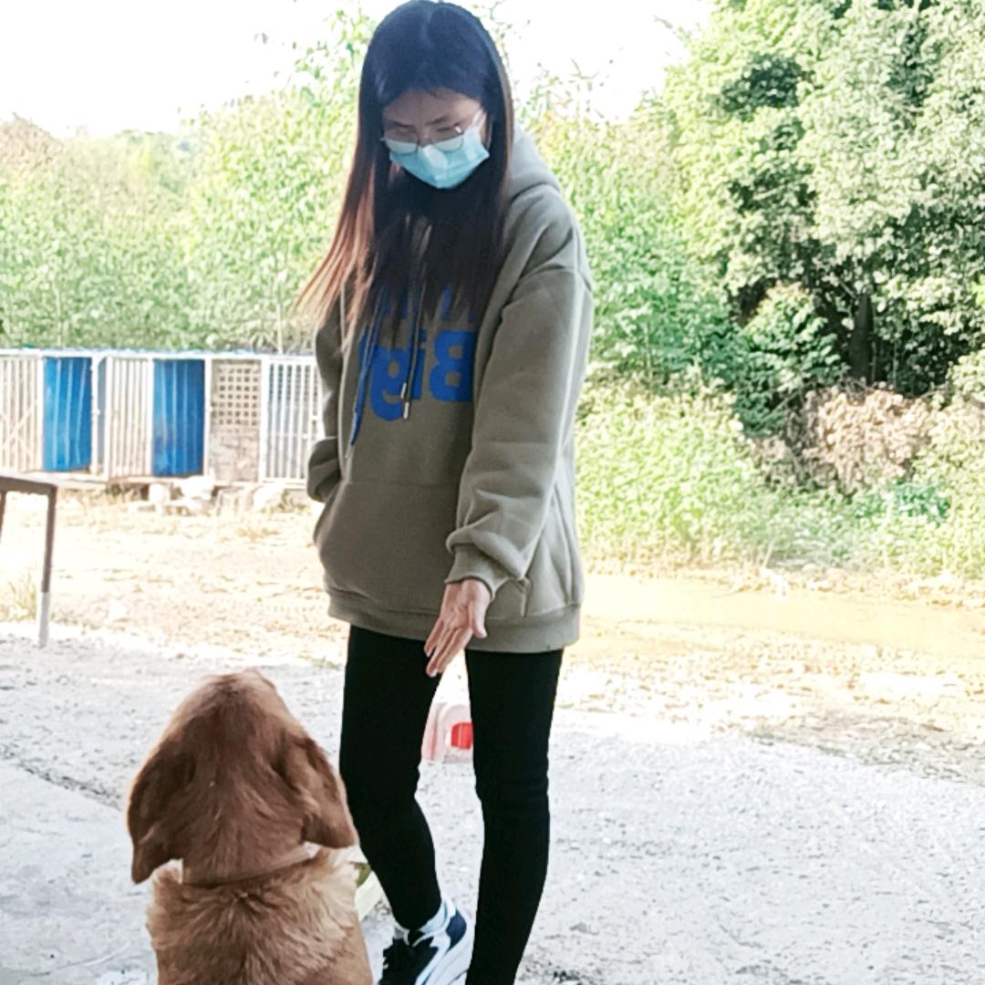 养🐔小妹