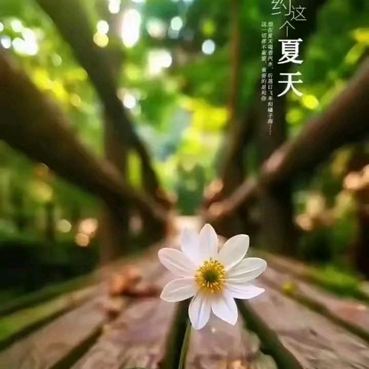 甄选宝贝