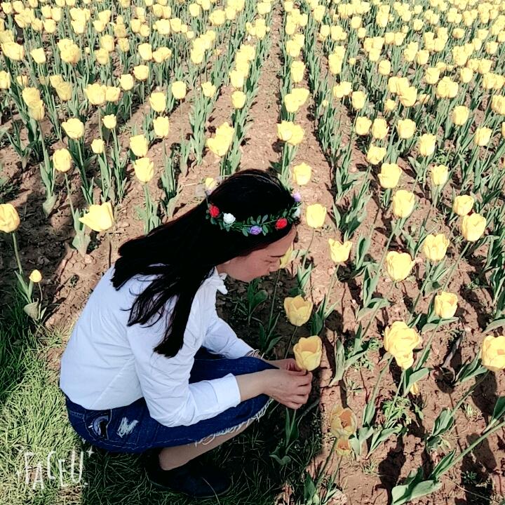 用户717010811353@细品岁月