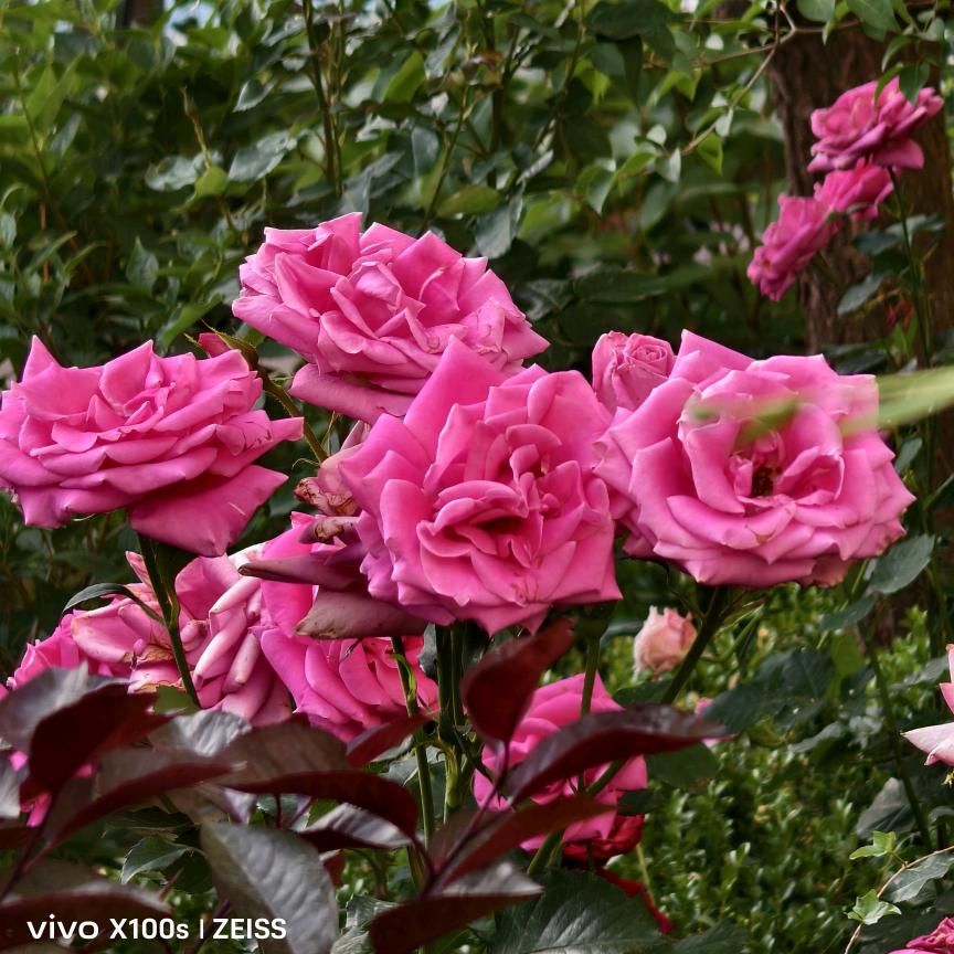 人生(๑˙❥˙๑)初梦( ˘ ³˘)♥