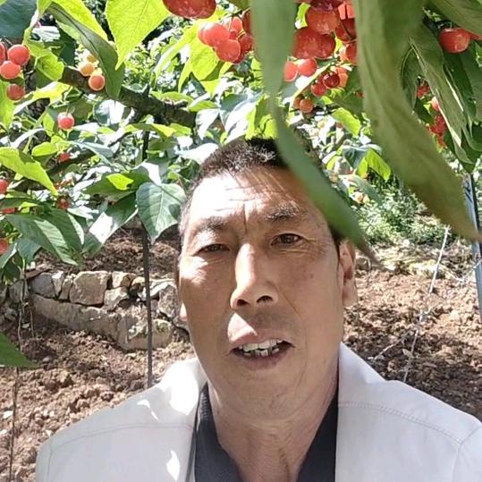 好人一生平安（谢）