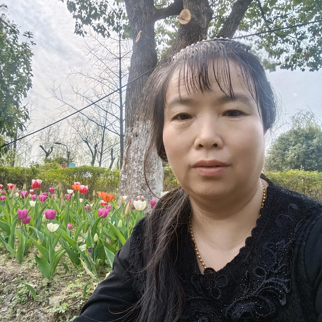 向林菊