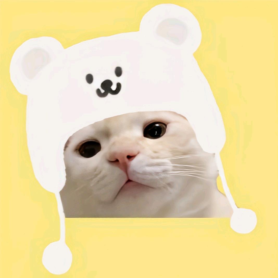 猫meme搞笑剧场