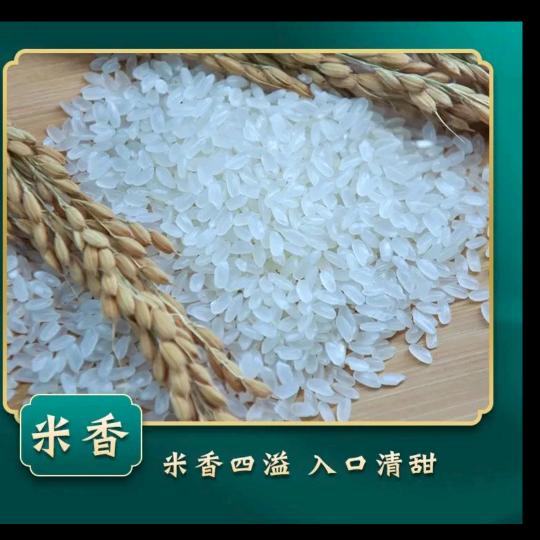 生活同城小时达