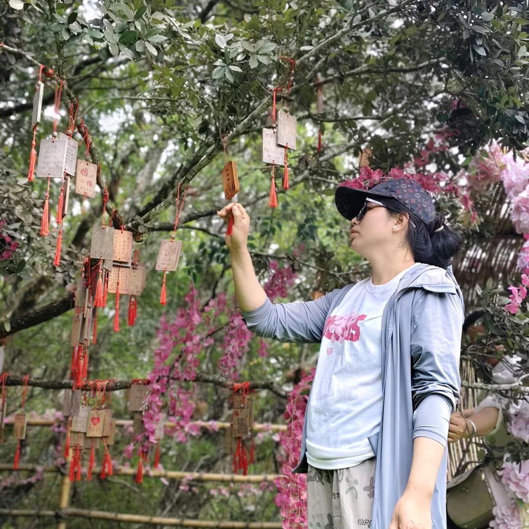 紫依恋