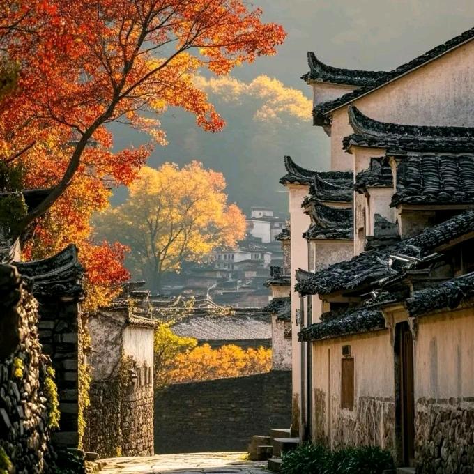 海阔天空💕小刘