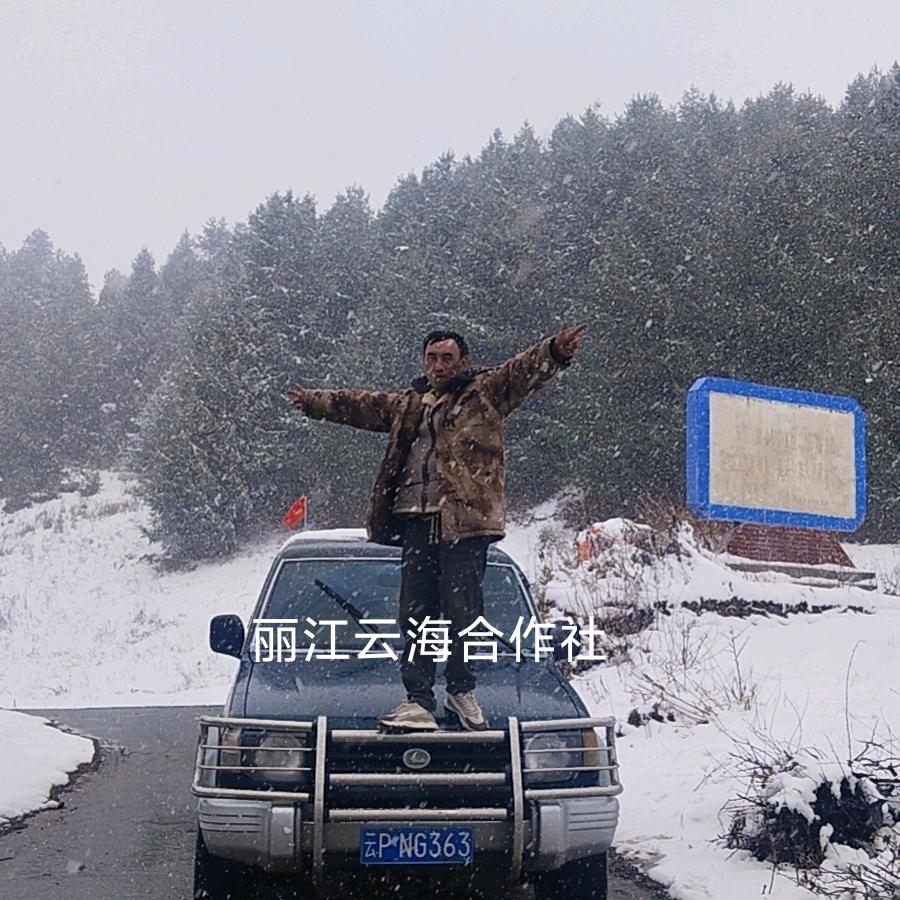 玉龙县云海中药农:傈僳华少