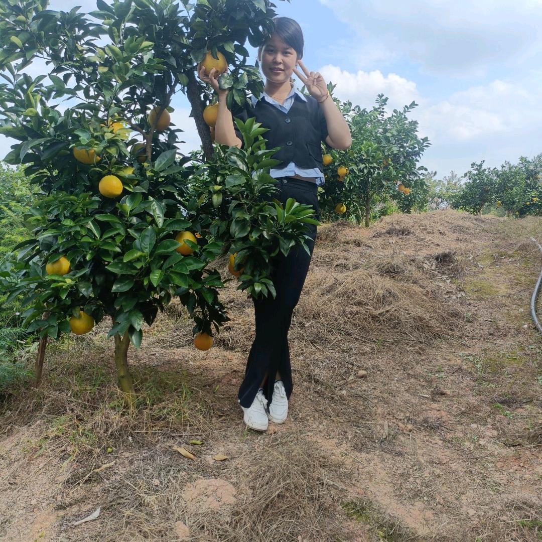 香