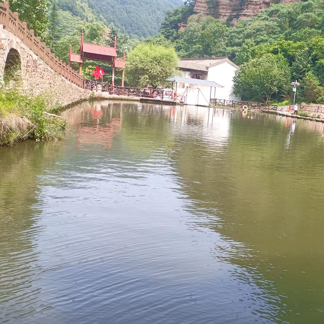招财哥