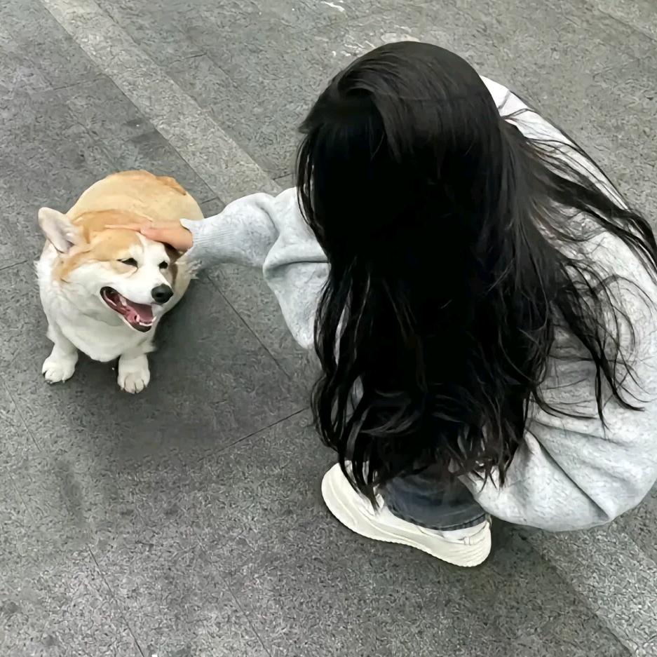 花期.♡