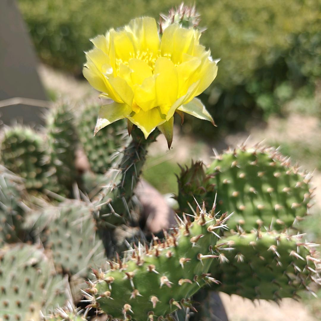 始于心、终于命，率性而为！勿念