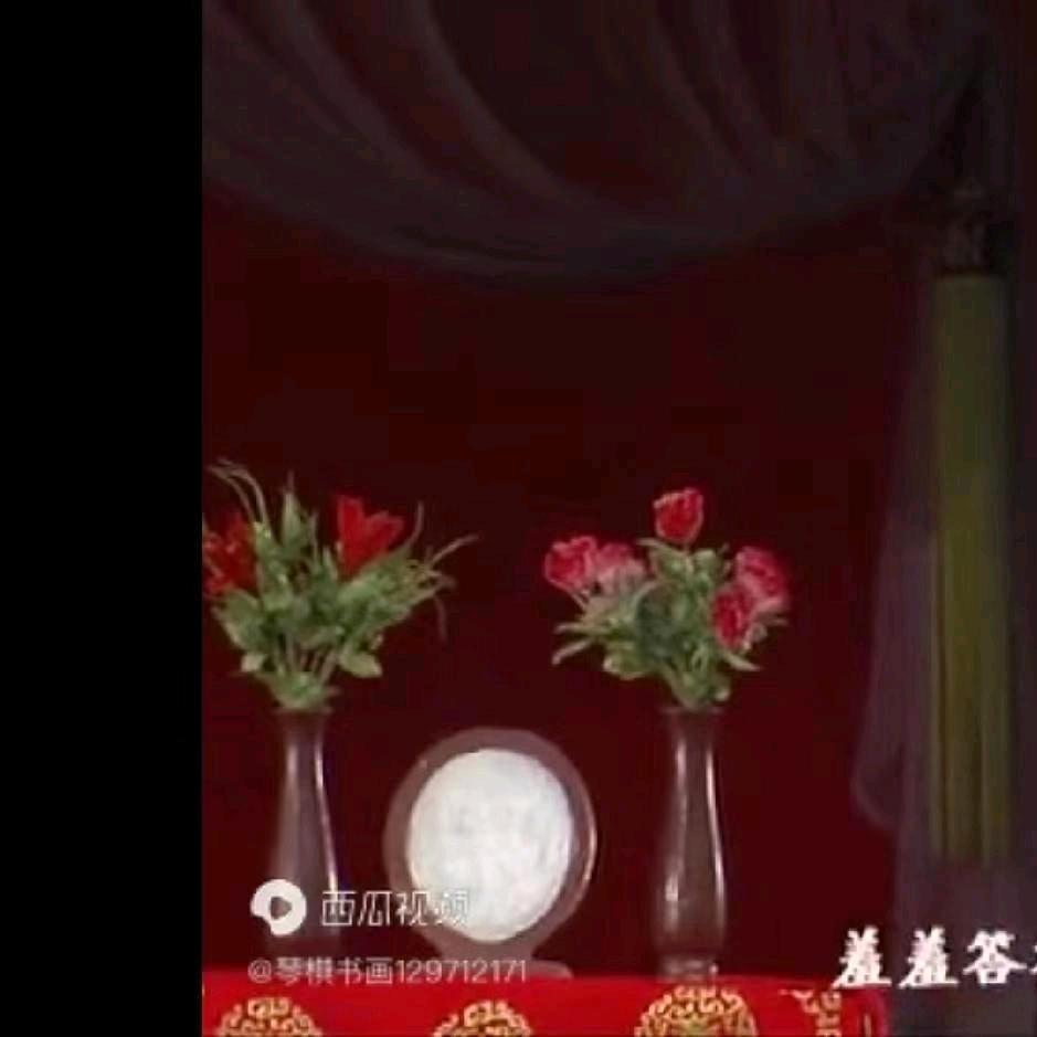 黑燕飞