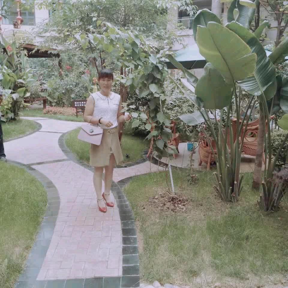 春天的梅