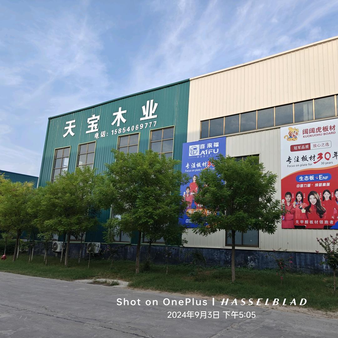 曹县天宝木业有限公司好太太板材金利源板材