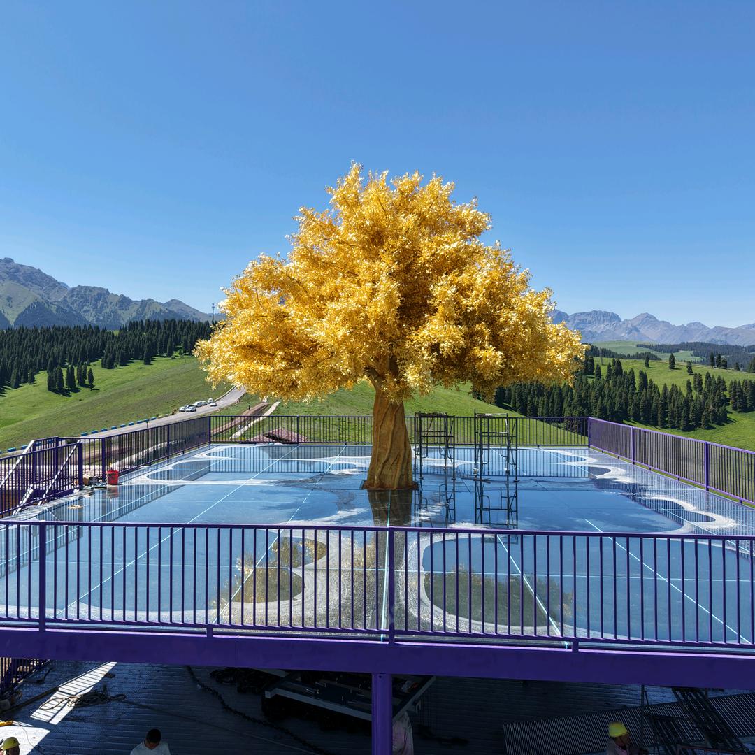 江布拉克新西兰滑板车