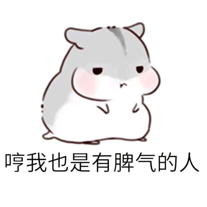 东莞松山湖锦鲤(甄选)