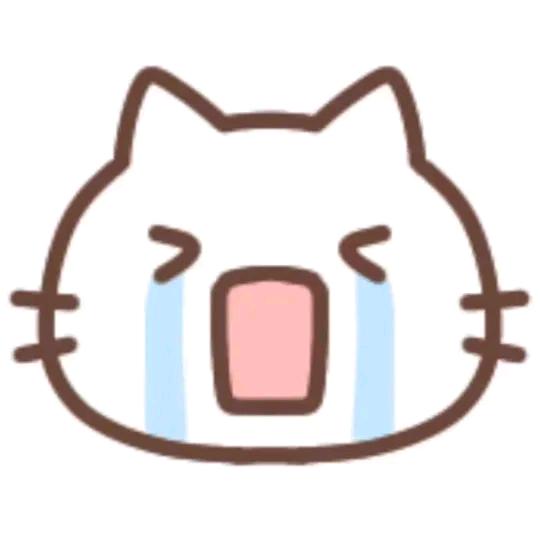 袜子女款爆款2025最新款