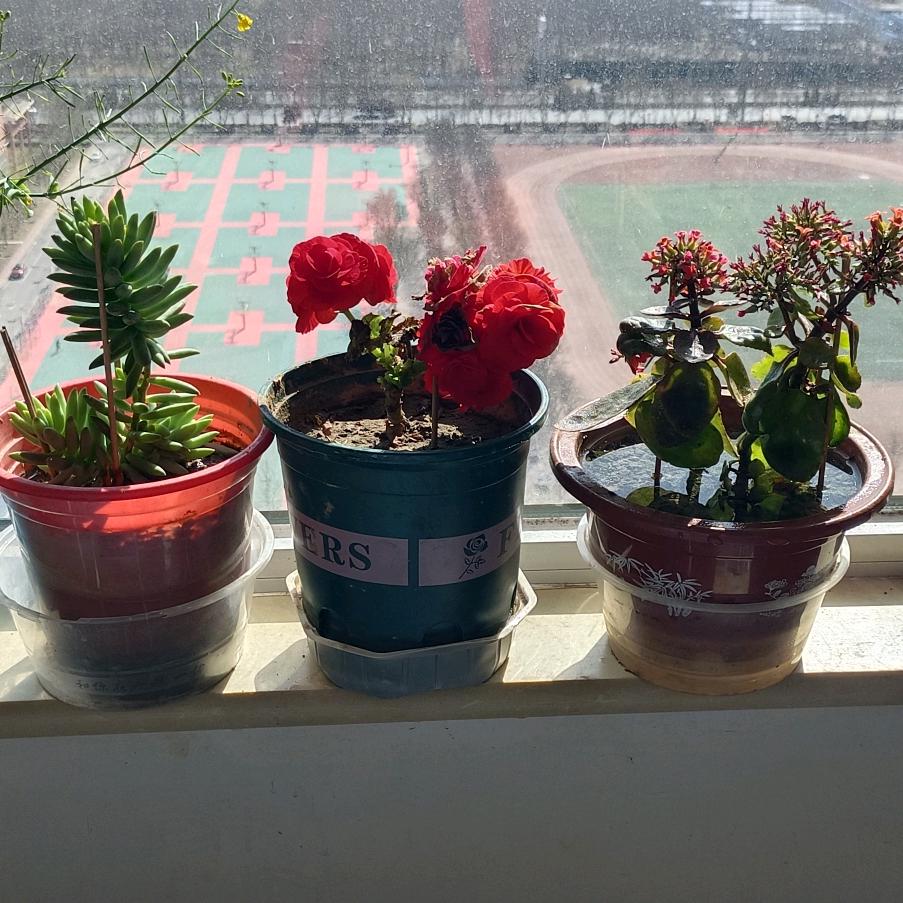 赵我说的做