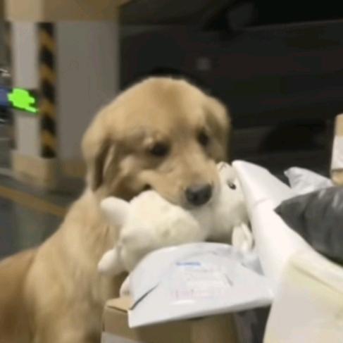 🌈啊哈哈哈🌈୧⍢⃝୨