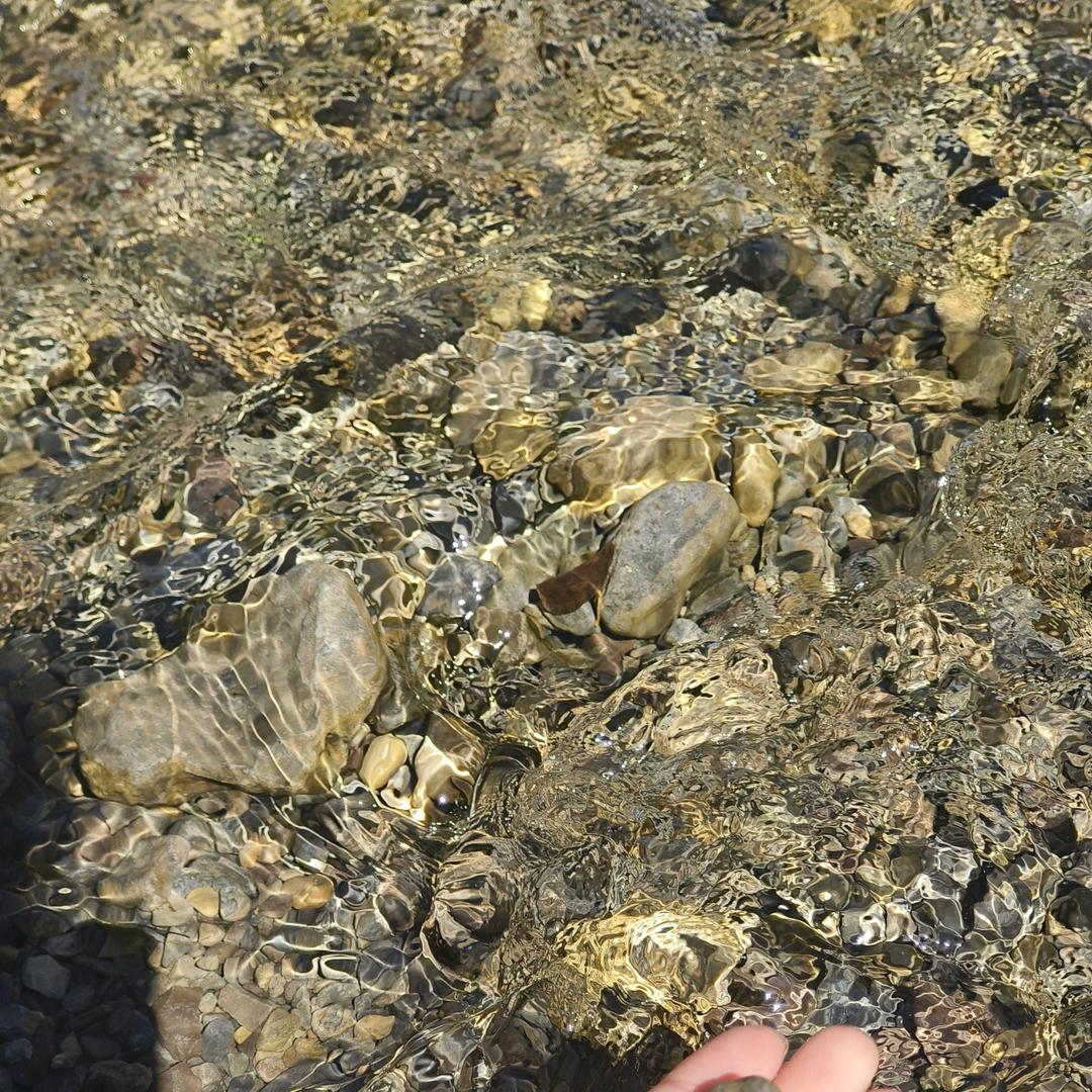 清澈的白开水