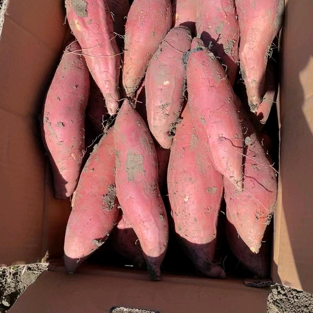 薯蜜园农产品个体店