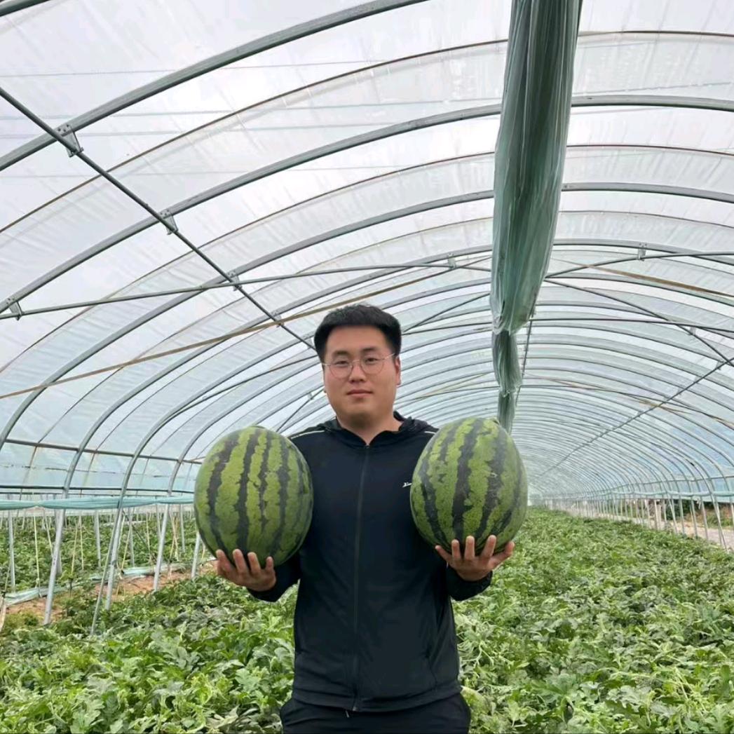 鑫弟-凌海农产品经纪人