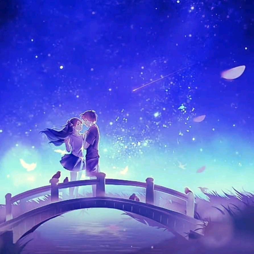 星梦✨